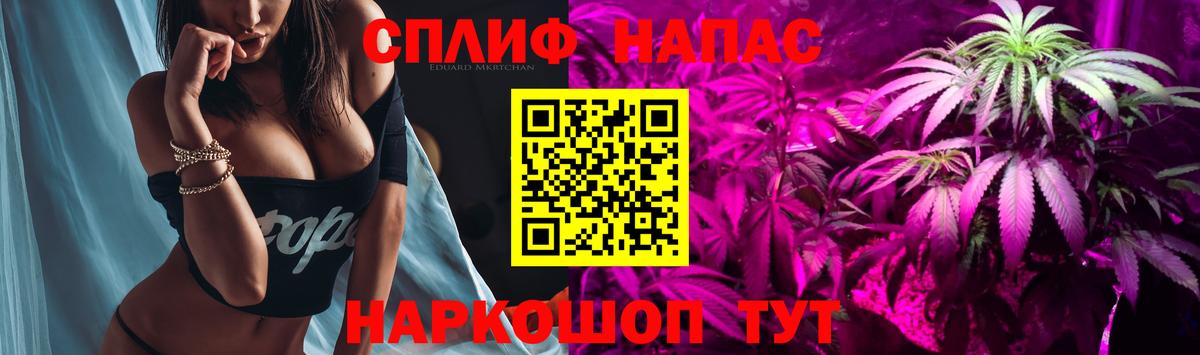 Севастополь  Бошки марихуана планчик  Марихуана OG Kush  Конопля гибрид  Вход с VPN 